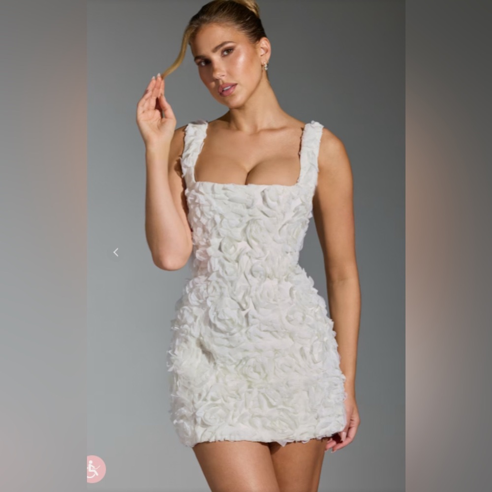 NWT Oh Polly Posy Floral-Appliqué Corset Mini Dress